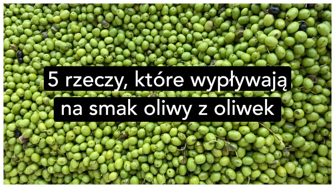 Zdjęcie Oliwa fruttato – co to znaczy i jak wpływa na smak potraw